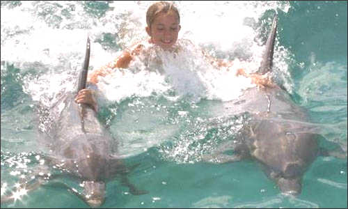 Kid with dolphins