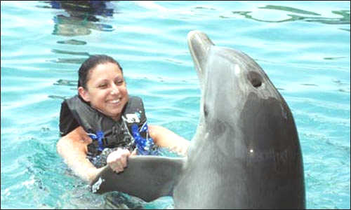 Playing with a dolphin